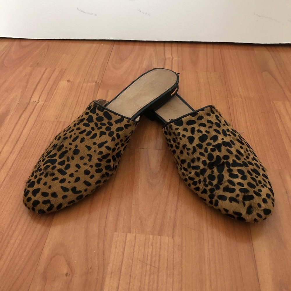 Leopard slides